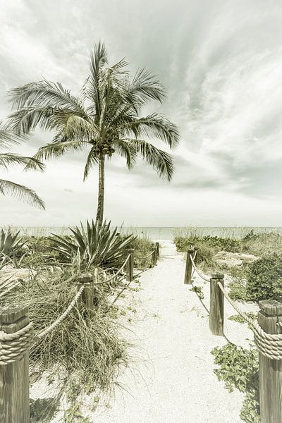 Path to the beach | Vintage by Melanie Viola