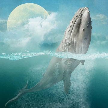 The Whale by Marja van den Hurk