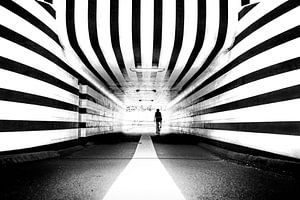 Stripes by Wil Crooymans