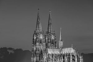 COLOGNE 19