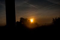 Zie de zon komt door het spinnenweb!