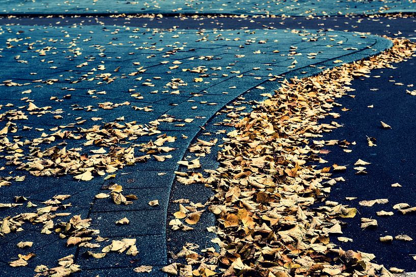 Herfst in de stad par Wijnand Kroes