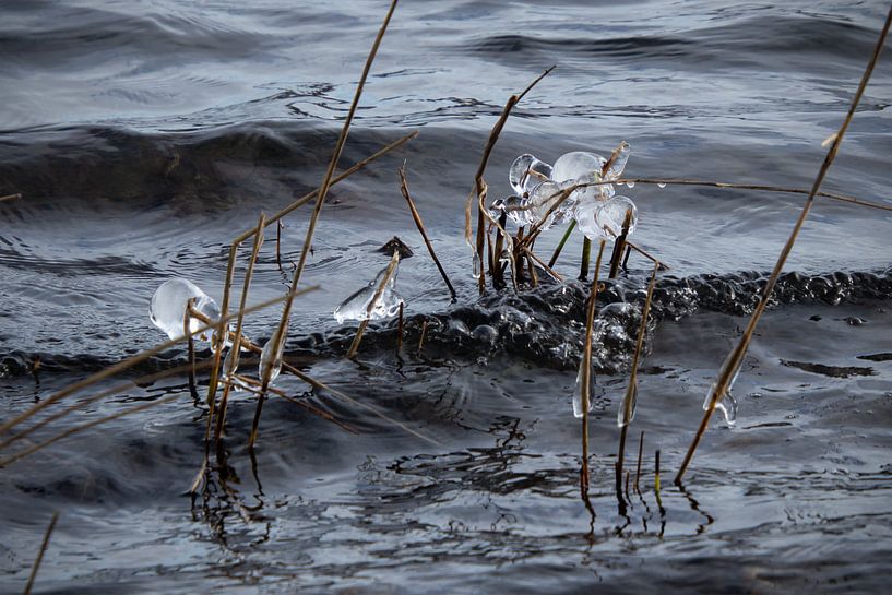 Formation de la glace par Ton van Waard - Pro-Moois