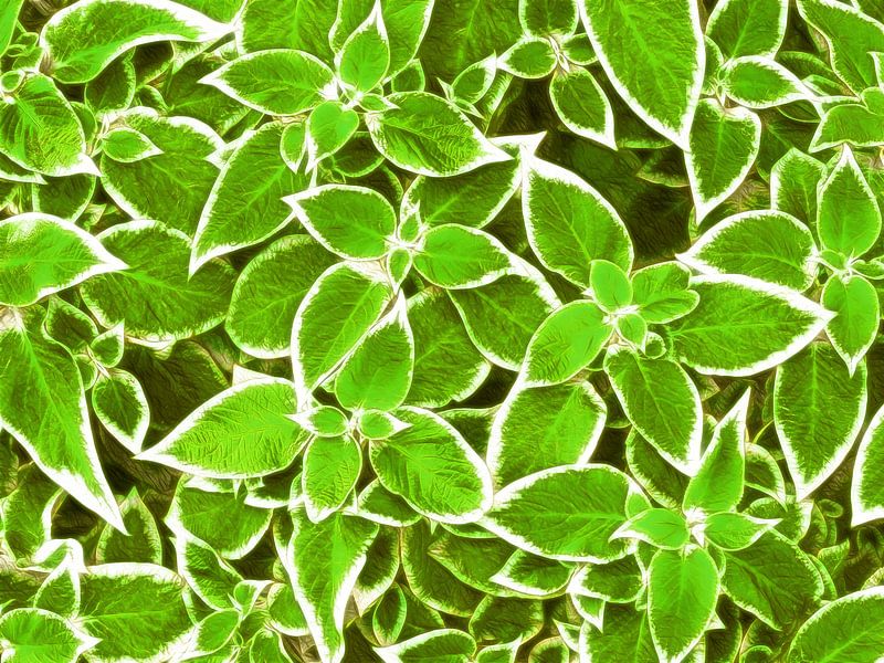 Feuilles vertes par Caroline Lichthart