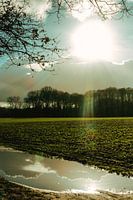 Zonlicht reflectie
