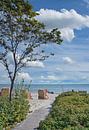 Sommer an der Ostsee von Peter Eckert Miniaturansicht