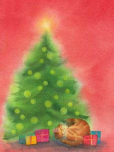 Stille Nacht unter dem Weihnachtsbaum