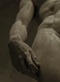 Davids Hand in sepia obscura von Affect Fotografie