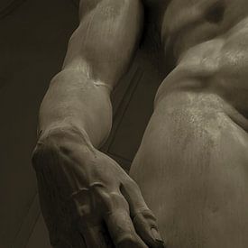 La main de David en sépia obscura sur Affect Fotografie