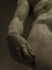 Davids Hand in sepia obscura
