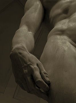 David's hand in sepia obscura
