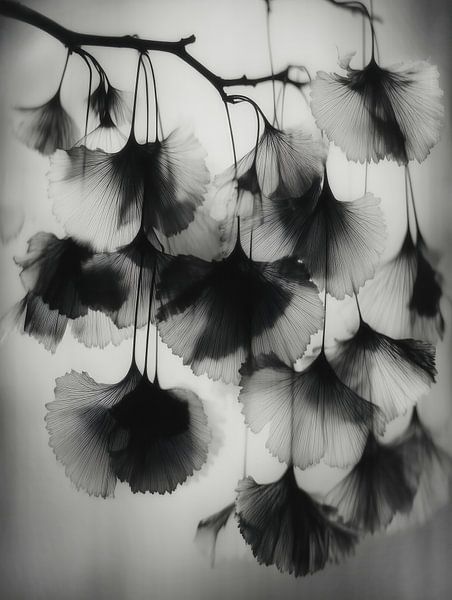 Leiser werdend von Cats & Dotz