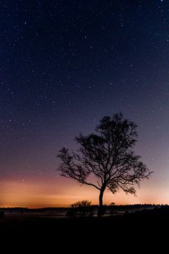 The most beautiful star in the sky. by BBas Fotografie