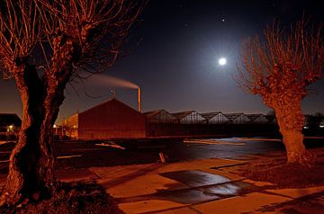 Greenhouses and pollard willows in the moonlight von Remco Swiers