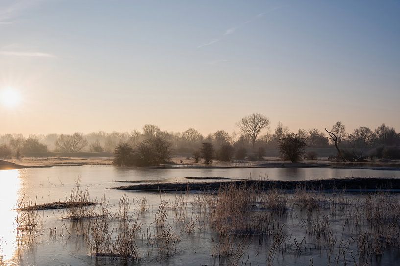 Meinerswijk part 79 by Tania Perneel