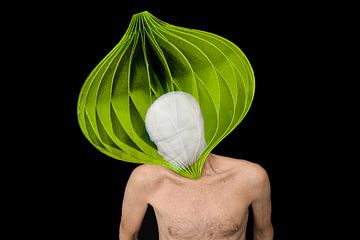 Identitätsverlust von Peter Smeekens