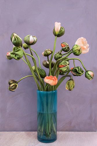 Still life of special tulips