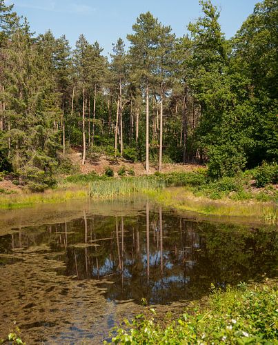 Grenspark Kalmthoutse Heide