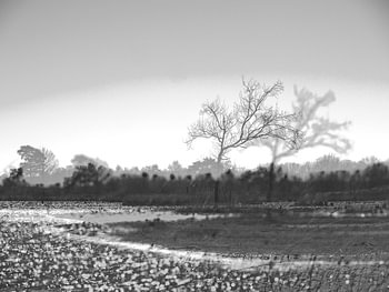 Landschap