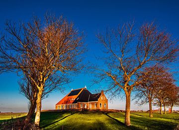 Boerderij van Harrie Muis