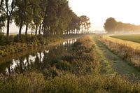 Polderland typique de Zeeuws-Vlaams sous le soleil matinal