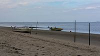 Texel