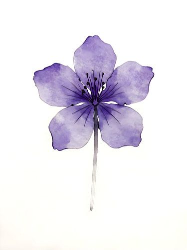 Purple Wildflower – Watercolour and Ink