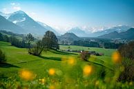 springlike view from the Malerwinkel in the Allgäu to the whole Allgäu Alps by Leo Schindzielorz thumbnail