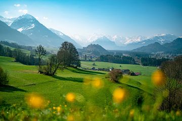 lenteachtig uitzicht vanaf de Malerwinkel in de Allgäu op de hele Allgäuer Alpen van Leo Schindzielorz