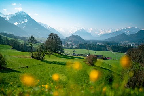 lenteachtig uitzicht vanaf de Malerwinkel in de Allgäu op de hele Allgäuer Alpen