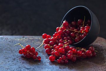 red currants by Sergej Nickel