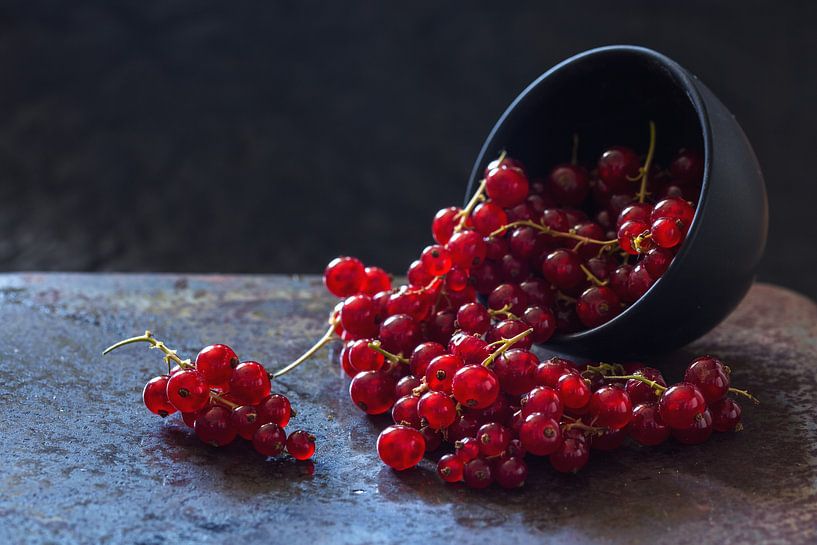 Roten Johannisbeeren von Sergej Nickel