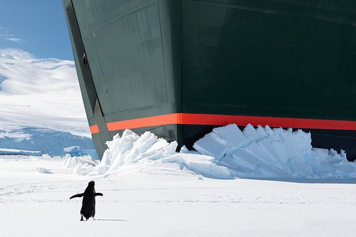 Un pingouin à la proue d'un bateau de croisière en Antarctique