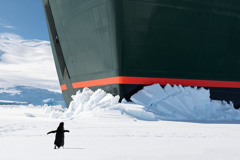 Pinguin für Kreuzfahrtschiff-Bug in der Antarktis von Nancy Pauwels Photo