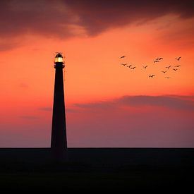 danielle van der sluis Profilfoto