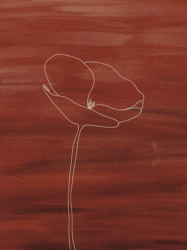 Poppy ll - Klaproos Abstract