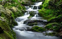 Waterval Ninglinspo Belgische ardennen