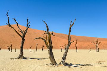 Sossusvlei Namibie van Jurgen Hermse