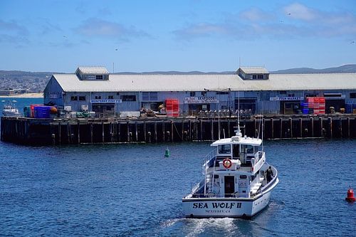 De vispier van Monterey