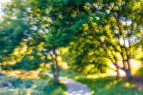 Gloeiend Bos. Abstract