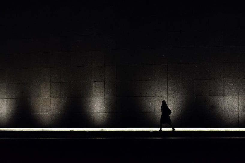 Vrouw voor het licht van Leon Doorn