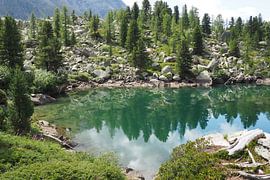 Die Engadiner Berge zeigen eine harmonische Mischung aus alpiner Weite, kristallklaren Seen und sanften Lärchenwäldern. Die Landschaft wirkt lichtdurchflutet, ruhig und zugleich majestätisch – ein Naturparadies im Herzen der Schweiz.