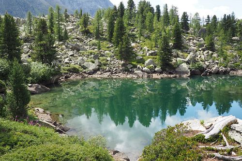 Het Engadin-gebergte biedt een harmonieuze mix van alpine vlakten, kristalheldere meren en zachte lariksbossen. Het landschap is overspoeld met licht, vredig en majestueus tegelijk - een natuurparadijs in het hart van Zwitserland.