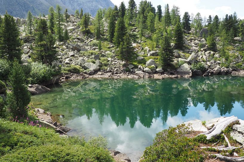 The Engadin mountains offer a harmonious blend of alpine expanses, crystal-clear lakes and gentle larch forests. The landscape is flooded with light, peaceful and majestic at the same time - a natural paradise in the heart of Switzerland. by Miriam Schwarzfischer Fotografie