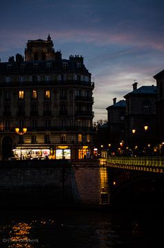 Parijs - De dansende lichtjes aan de Seine van Eline Willekens