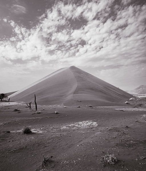 Sand dune in Sossusvlei of the Namib Naukluft National Park in Namibia, Africa by Patrick Groß