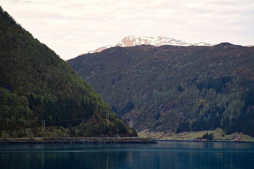 Fjord in Noorwegen, bewolkte lucht van Martin Köbsch