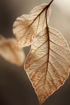 Leaf Macro by Treechild