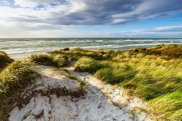 Uitzicht over de duinen naar de Baltische Zee van Daniela Beyer