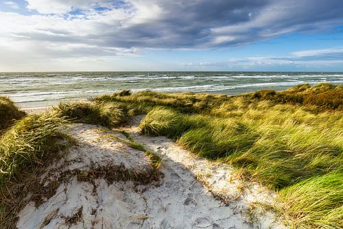 Vue sur les dunes et la mer Baltique